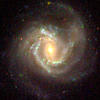 NGC 4303