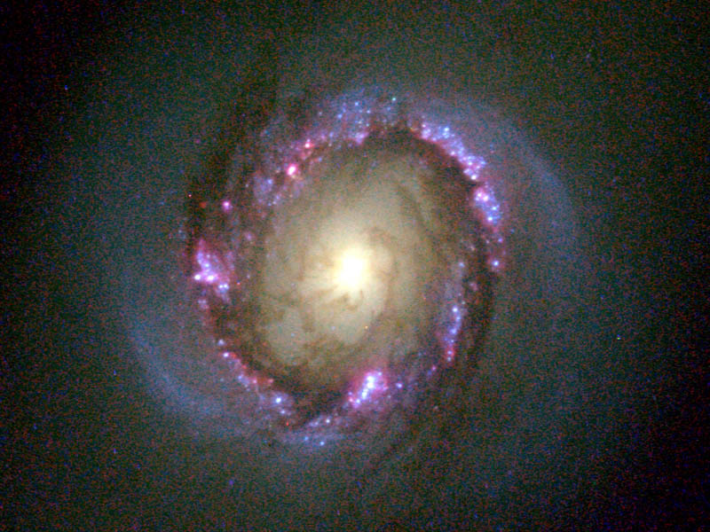 9821A1